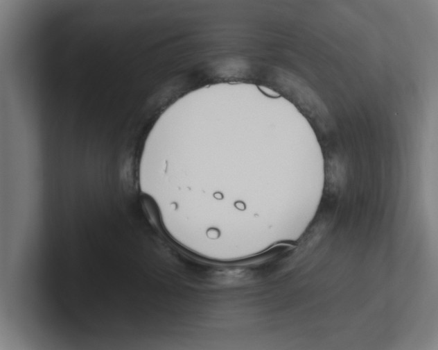 X0000102290428200808221401