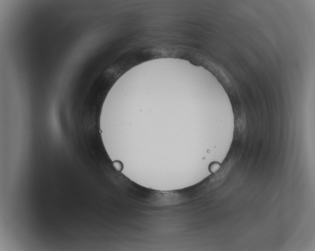 X0000102290429200808221401