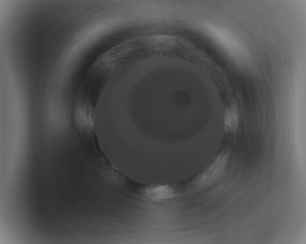 X0000102290431200808221401