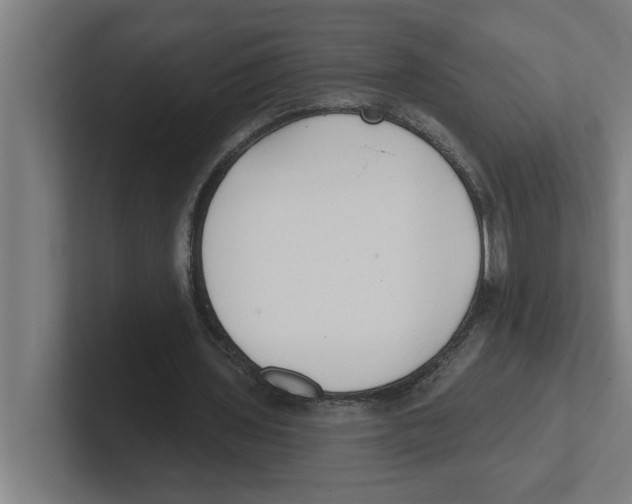 X0000102290435200808221400