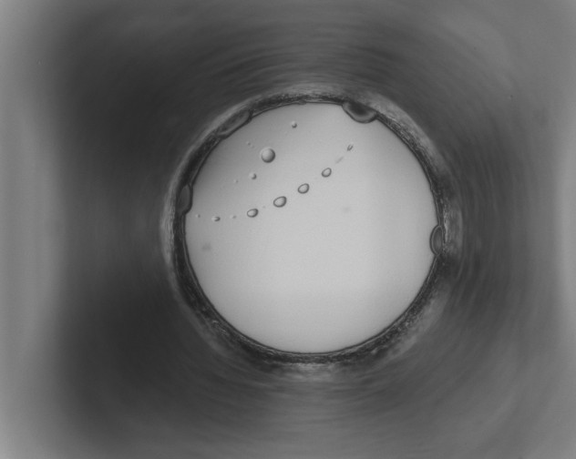 X0000102290436200808221400