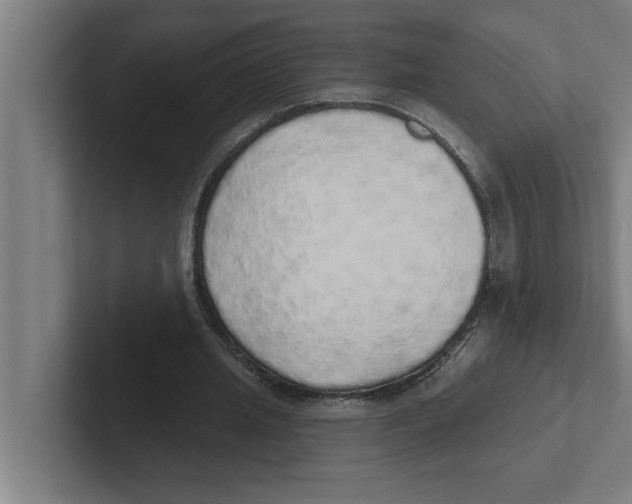 X0000102290437200808221400