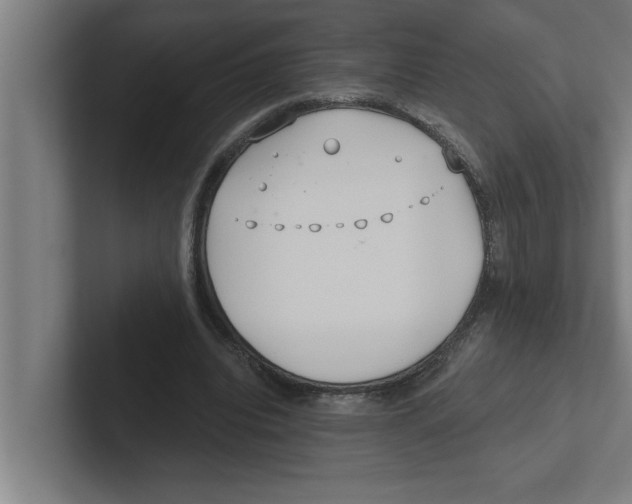 X0000102290440200808221400