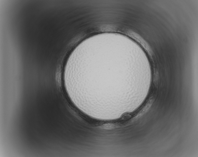 X0000102290441200808221400