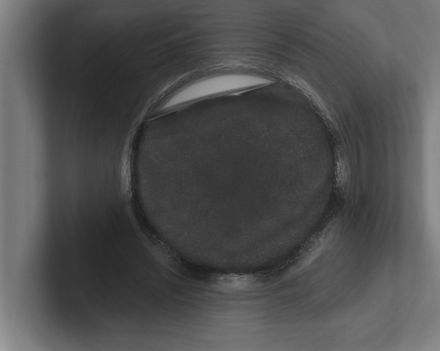 X0000102290444200808221400