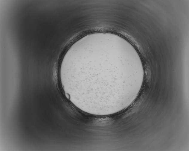 X0000102290446200808221400