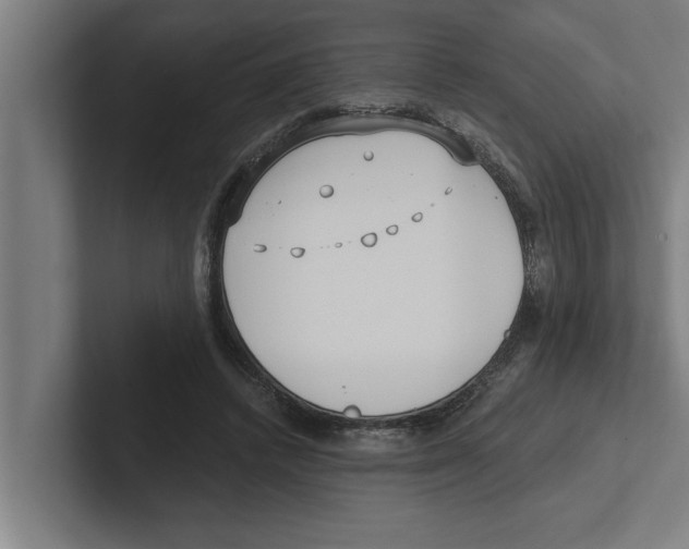 X0000102290448200808221400