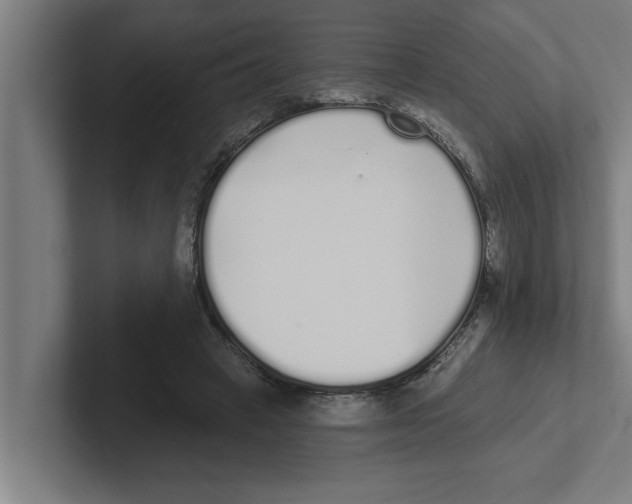 X0000102290449200808221400