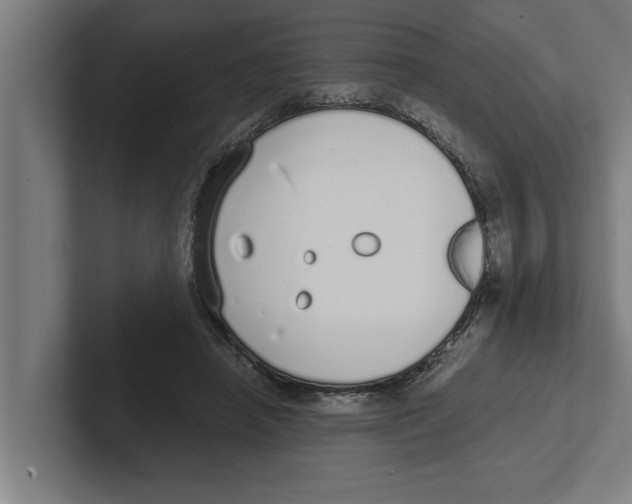 X0000102290450200808221400