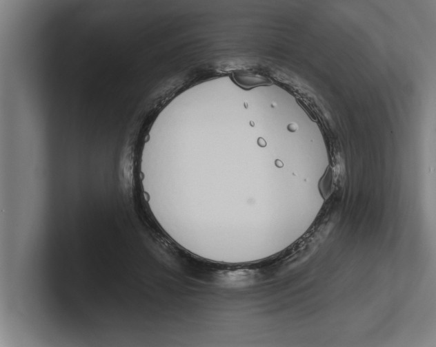 X0000102290452200808221400