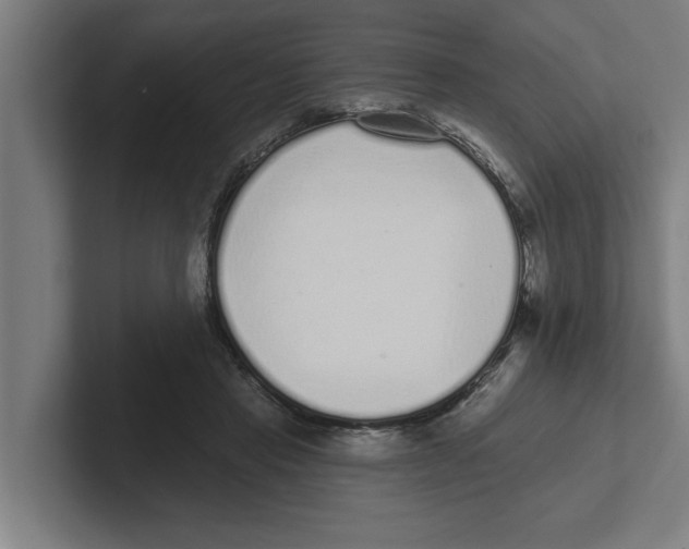 X0000102290453200808221400