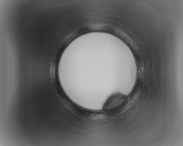 X0000102290454200808221400