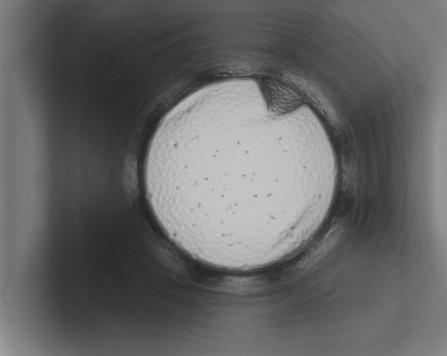 X0000102290457200808221400