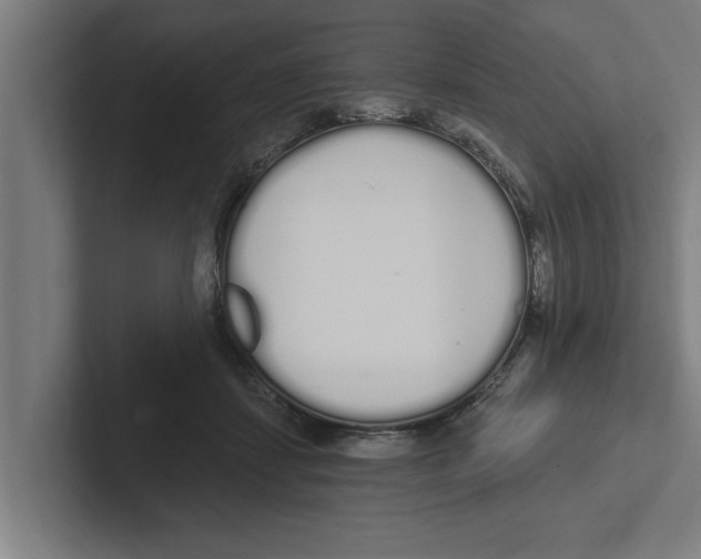 X0000102290459200808221400