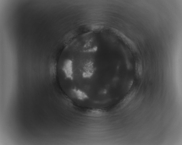 X0000102290475200808221401