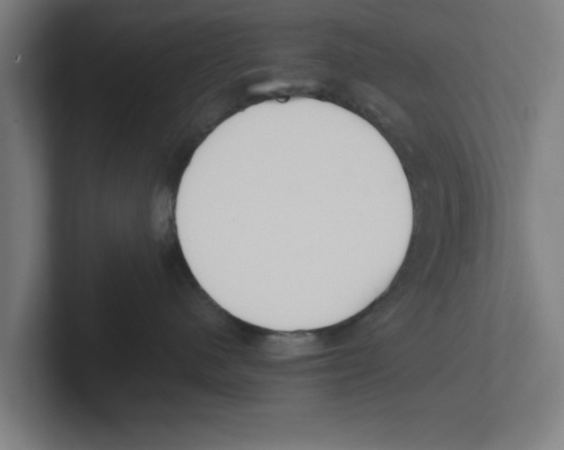 X0000102290480200808221401