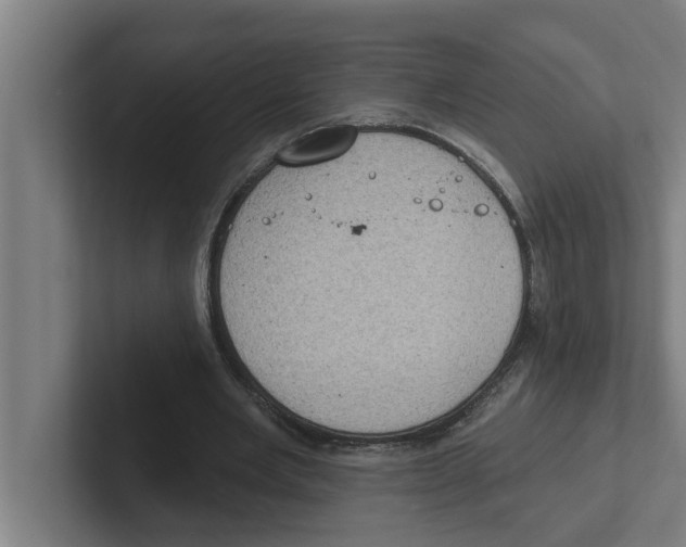 X0000102290485200808221400