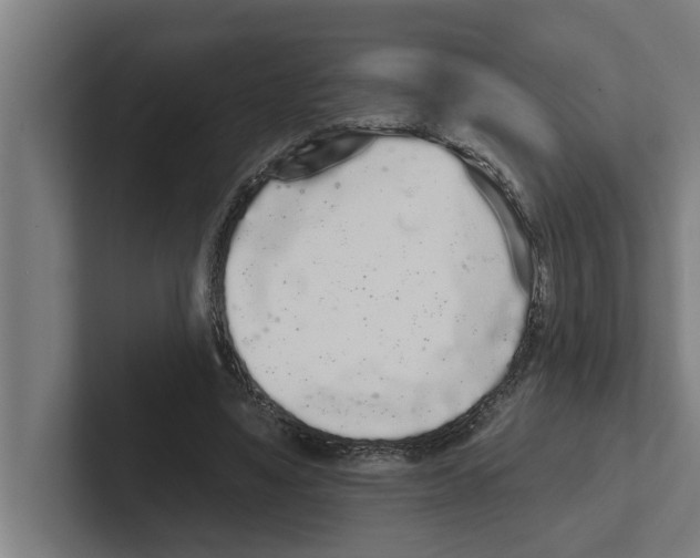 X0000102290491200808221400