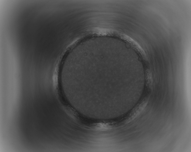 X0000102290496200808221400