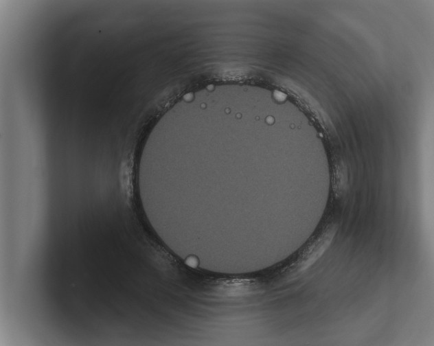 X0000102290497200808221400