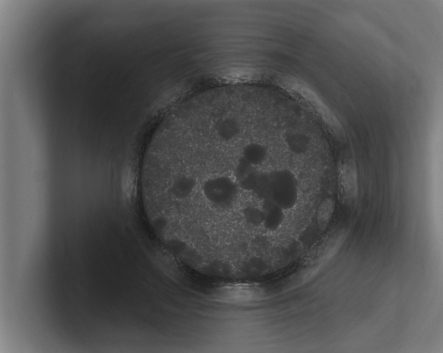 X0000102290499200808221400