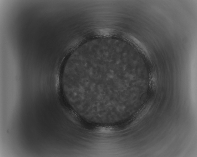 X0000102290500200808221400