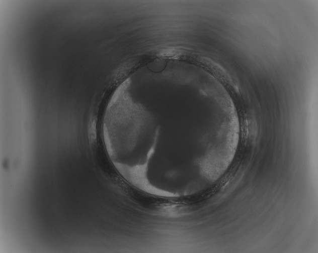 X0000102290504200808221400