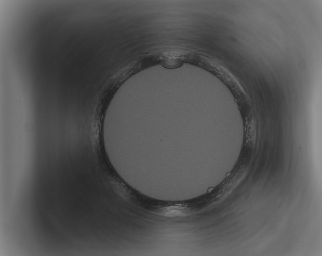 X0000102290505200808221400