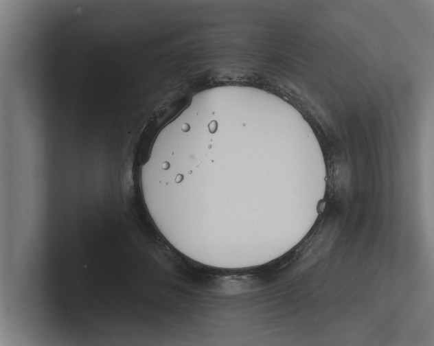 X0000102290508200808221400