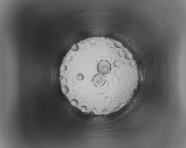 X0000102290511200808221400