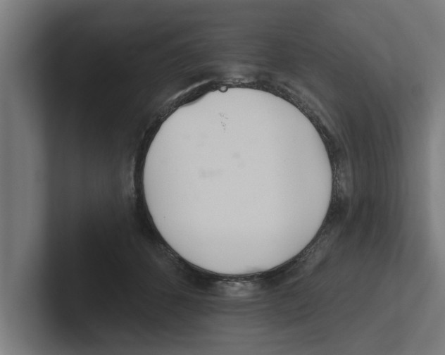 X0000102290512200808221400