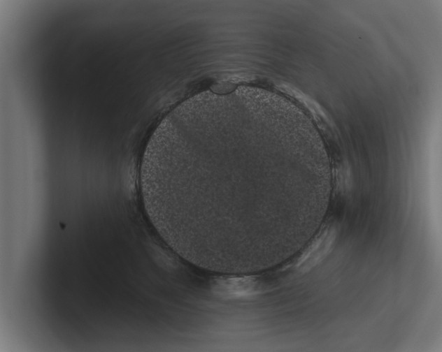 X0000102290517200808221359