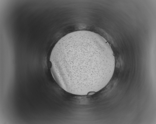 X0000102290524200808221359