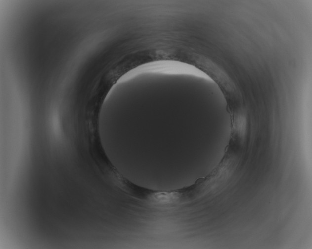 X0000102290526200808221359