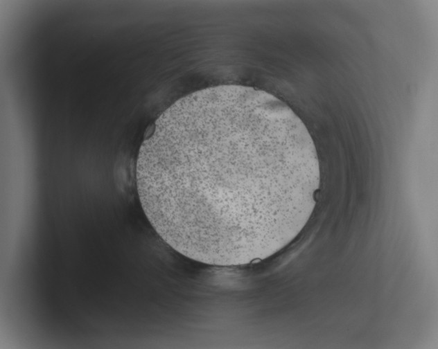 X0000102290528200808221359