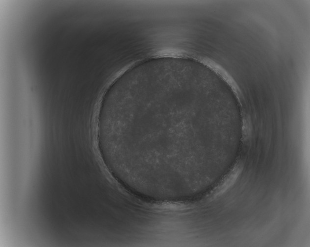 X0000102290529200808221359