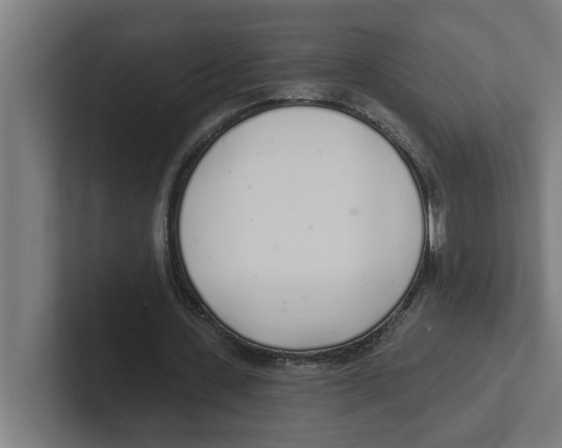 X0000102290531200808221359