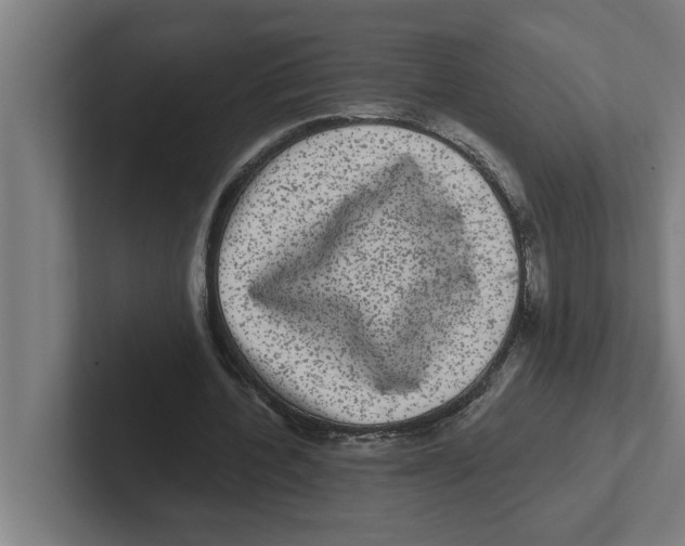 X0000102290532200808221359