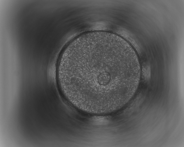 X0000102290534200808221359