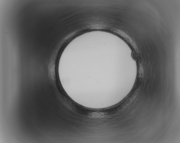 X0000102290535200808221359