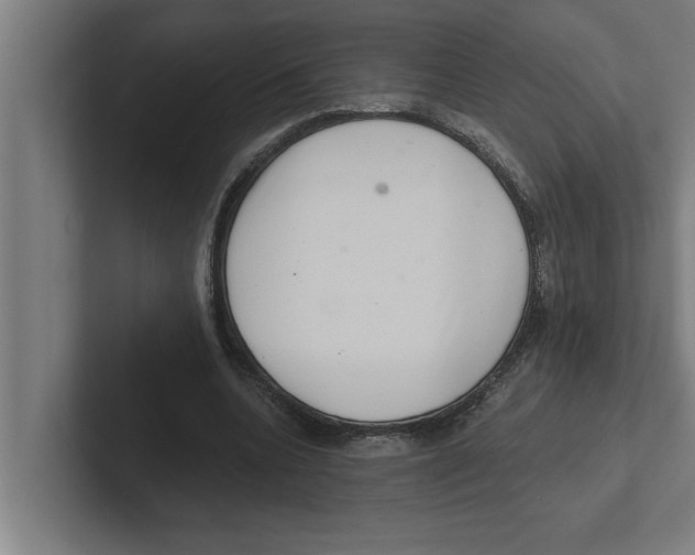 X0000102290536200808221359