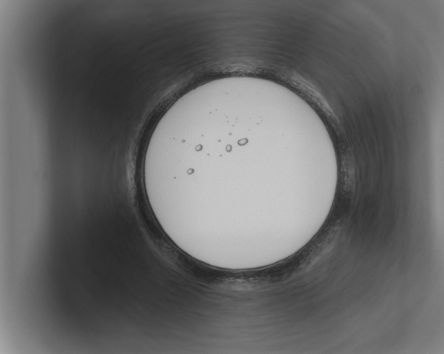 X0000102290538200808221359