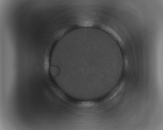 X0000102290541200808221359