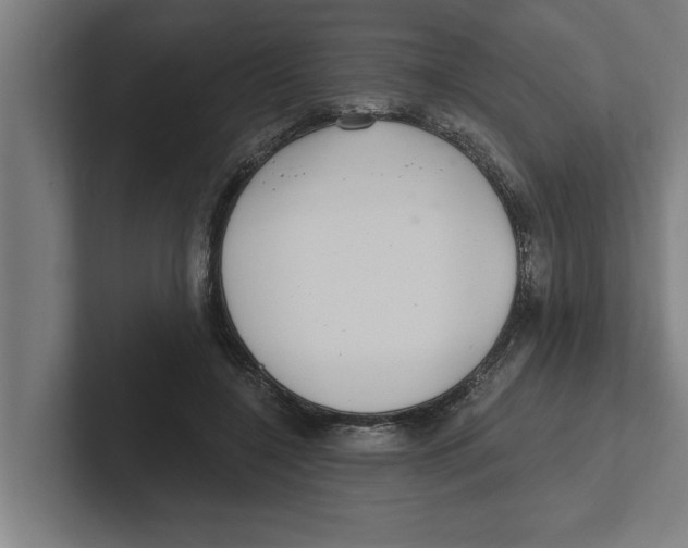 X0000102290548200808221359