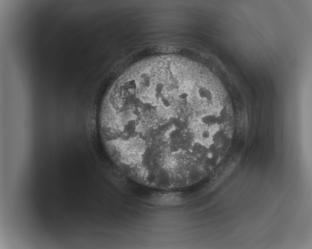 X0000102290553200808221359