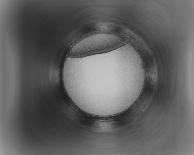 X0000102290556200808221359