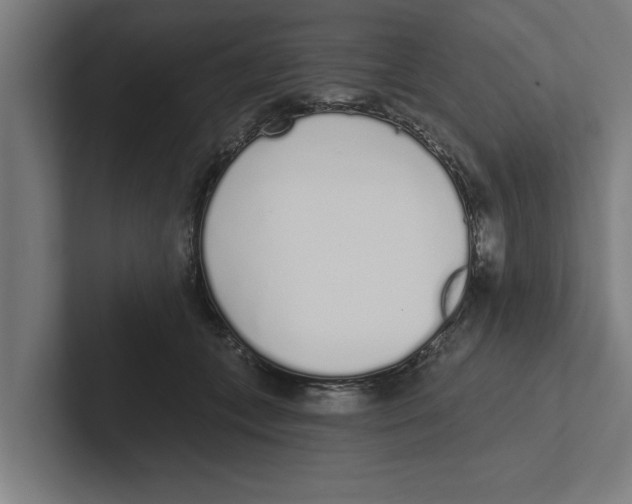 X0000102290559200808221359