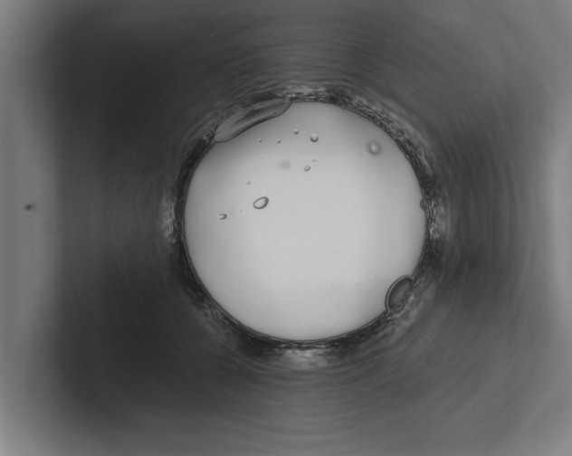 X0000102290560200808221359