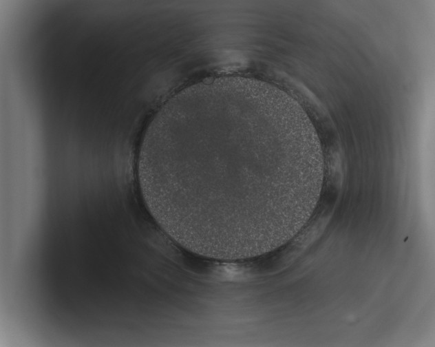 X0000102290565200808221359