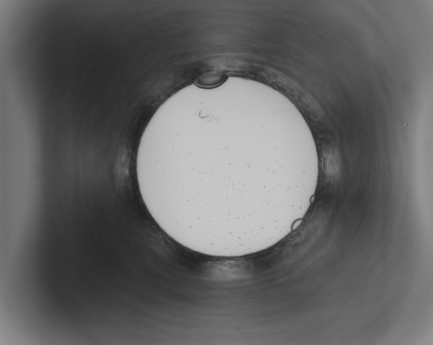 X0000102290567200808221359